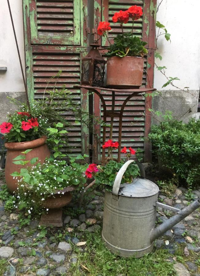 La Casa Sul Giardino- Garden House Apartment Novi Ligure Luaran gambar
